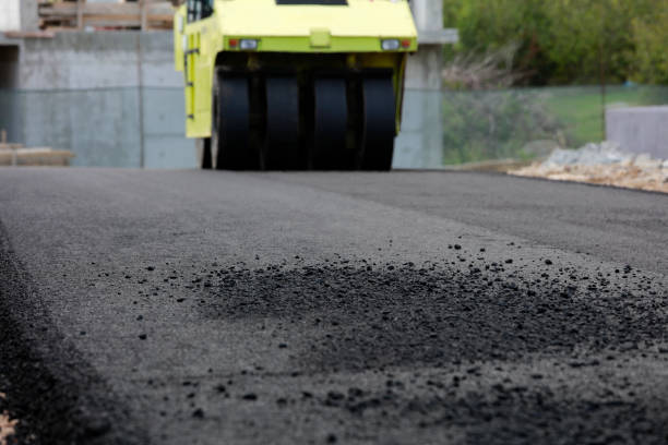 Best Driveway Pavers Near Me  in Waterville, NY